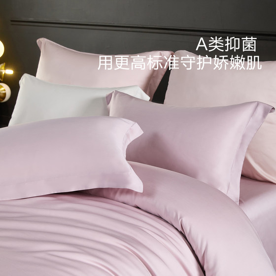 Mercury Home Textiles 100 Count Tencel Lyocell Four Piece Set