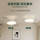 Full spectrum eye protection ultra-thin invisible ceiling fan light