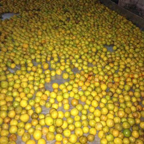 岭南山区农家自酿柠檬酒水果酒，富含维生素C1,25元一斤3斤免邮 - 图0