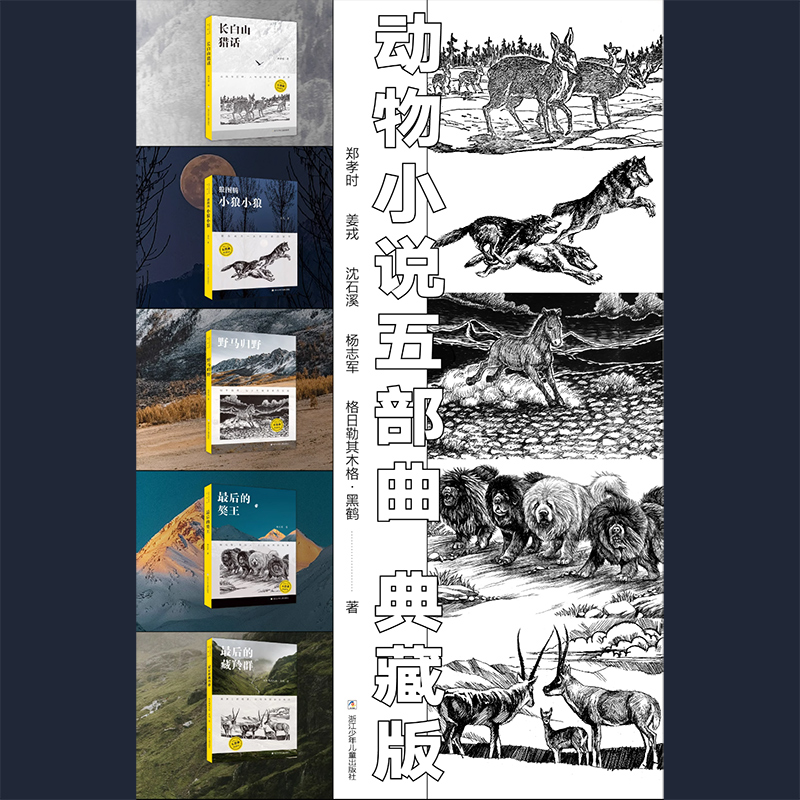 【旗舰正版】沈石溪动物小说五部典藏版共5册 狼图腾小狼小狼/野马归野/长白山猎话/最后的獒王/最后的藏羚/青少年儿童文学读物书 - 图3