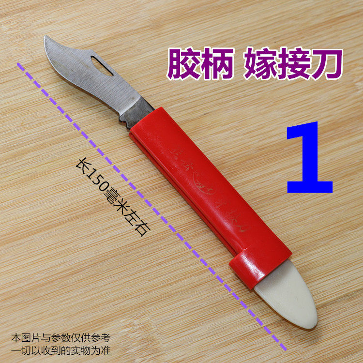 果树嫁接刀 苗木芽接刀子DIY花卉苗木嫁接果树剪园林绿植园艺工具,淘宝优惠券,粉丝福利购,淘宝优惠卷