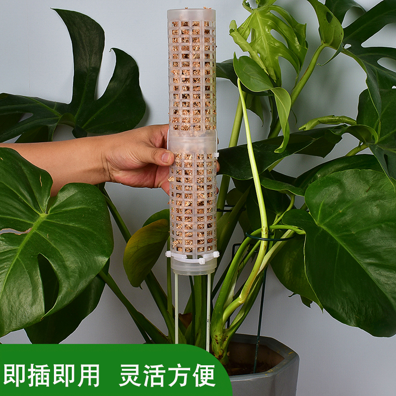 水苔柱棒龟背竹攀爬蔓绿绒爬藤柱可拼接增高热植气生根植物支撑架-图0