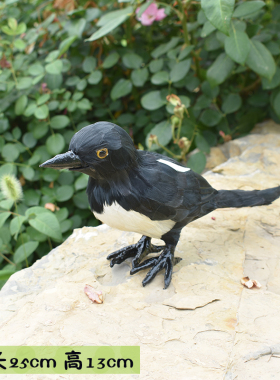 朱鹮喜鹊八哥伯劳黄鹂橱窗仿真鸟