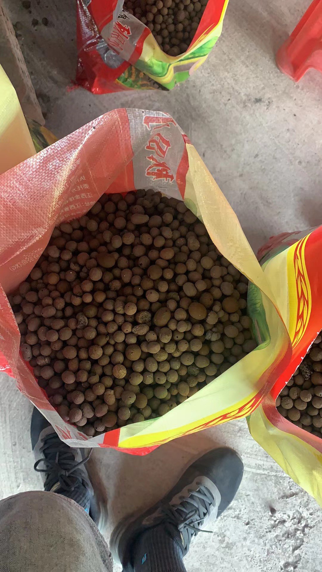 栽培基质铺面石垫底种花园艺绿化多肉陶粒发财树空心蜂窝陶粒拌土,淘宝优惠券,粉丝福利购,淘宝优惠卷