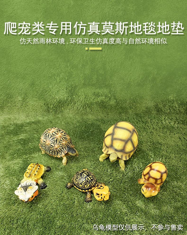Horned Frog Moss Carpet Tortoise Breeding Box Climbing Pet Water-Absorbent Moisturizing Mat Amphibian Anyuan Tortoise Gecko Lizard Mat