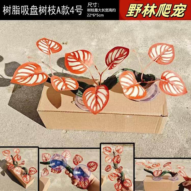 爬宠藤蔓带吸盘造景植物睫角守宫变色龙雨林玻璃缸缸攀爬树藤躲避,淘宝优惠券,粉丝福利购,淘宝优惠卷