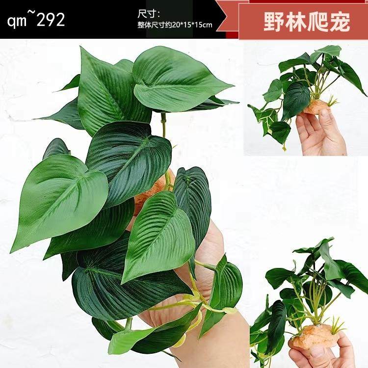 爬宠饲养箱仿真植物造景蜥蜴雨林缸高仿植物生态缸装饰水陆缸摆件,淘宝优惠券,粉丝福利购,淘宝优惠卷
