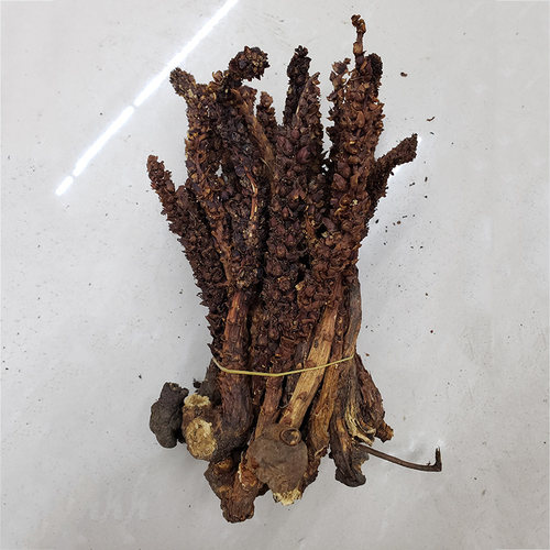 长白山野生不老草苁蓉泡酒料煲汤料列当泡茶回春草50克包邮 - 图1