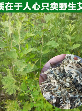 干艾叶野生艾叶泡脚包艾草农家陈艾叶足浴包新鲜艾蒿草艾绒艾条
