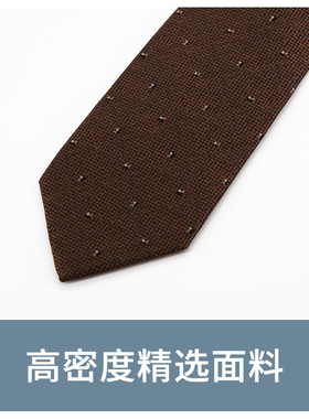Jacketman棕色碎花小图案领带
