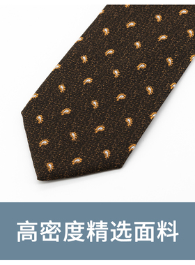Jacketman棕色时尚手打领带