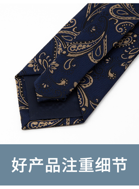 Jacketman蓝色时尚咖腰果花领带