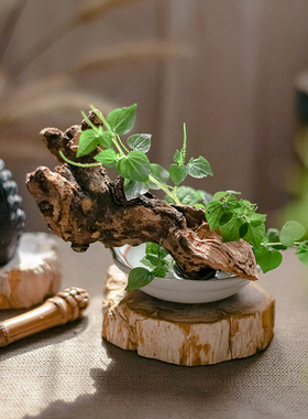 天然树根摆件微景观鱼缸造景插花禅意枯木根雕艺术品装饰摆设