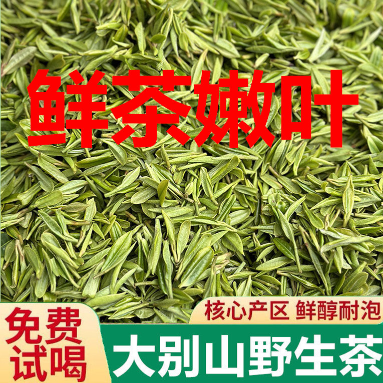 2024新茶大别山手工茶自己喝浓香耐泡高山云雾茶明前特级炒青绿茶 - 图0