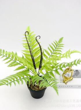 仿真加利龙血树小苗叶子千年木铁树花热销北欧水西西瓜树枝冷水多