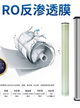 大型不锈钢工业ro反渗透纯水设备去离子农村一体化净水设备水处理