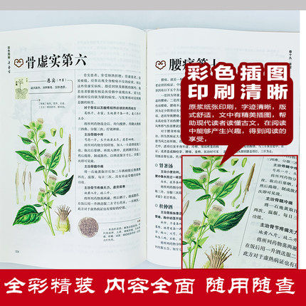 全5册正版 本草纲目+黄帝内经+神农本草经+汤头歌诀+千金方全集彩图全注全解中医歌诀四大名著基础理论中药养生书中医养生书籍大全 - 图1