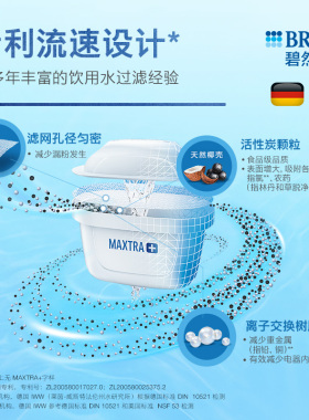 StyleXL过滤水垢水壶碧然德余氯