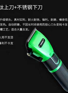 理发店人群油头推剪m5