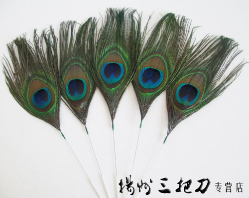 专业采耳掏耳工具银针孔雀王孔雀毛  轻抚脸颊 耳廓 芙蓉杵 - 图0