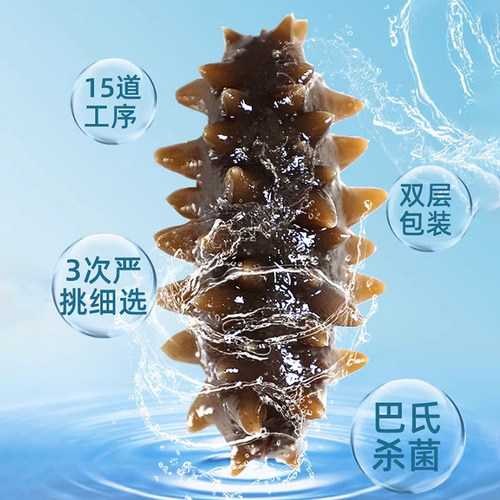 【温补九九81天】晓芹海参81只礼盒大连即食辽海刺参3240克送鲍鱼 - 图0