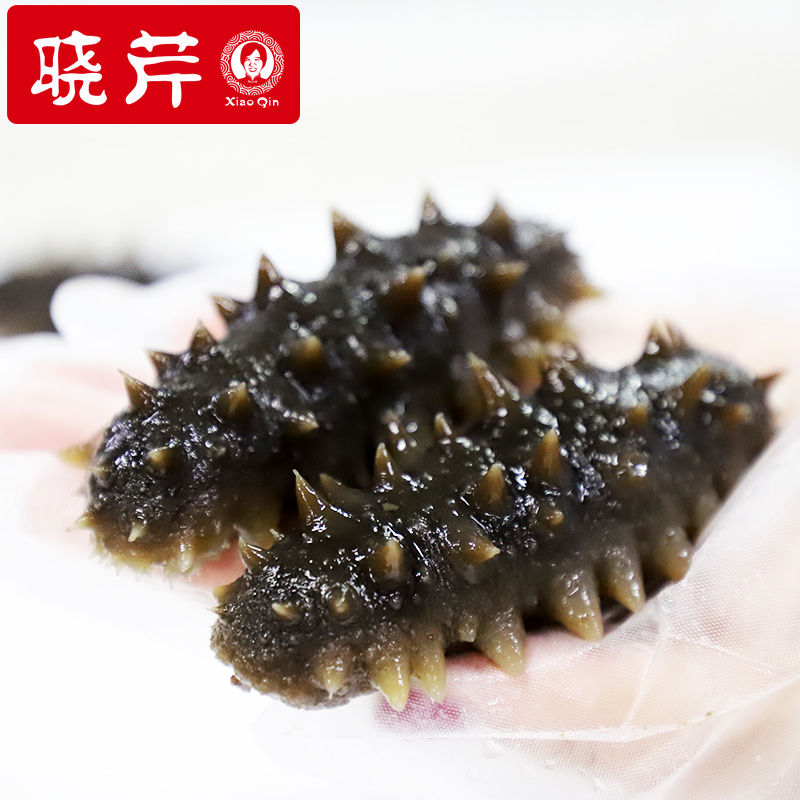 晓芹旗舰店晓芹海参即食海参礼盒大连海参 90g/根×10 即食海参单个装年限长1