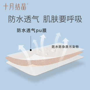 十月结晶剖腹产防水贴伤口贴EO灭菌5片装