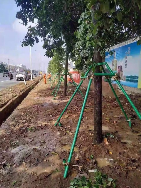 Support pole green tree support frame