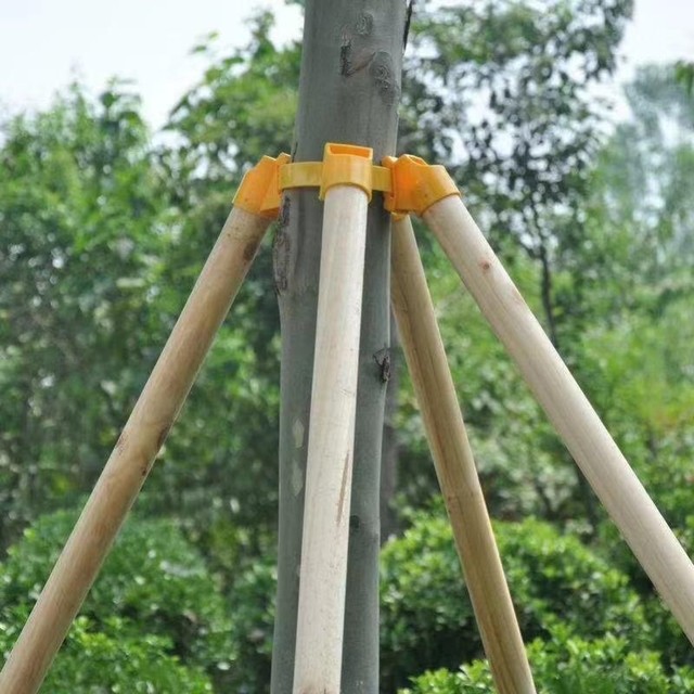 Landscaping support fixator rod stable bracket windproof engineering fir pine poplar stick tree support frame