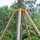 Landscaping support fixator rod stable bracket windproof engineering fir pine poplar stick tree support frame