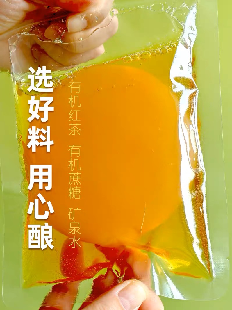 正宗红茶菌菌种传统原瓶老胃宝养胃护胃海宝菌母菌种醋蛾子康普茶 - 图0