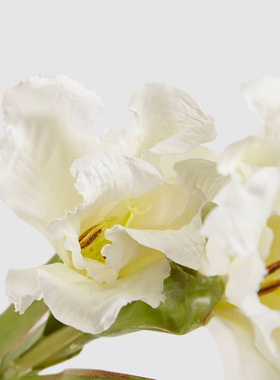 HarborHouse美式家居花艺摆设仿真花新品短支白色剑兰Gladiolus