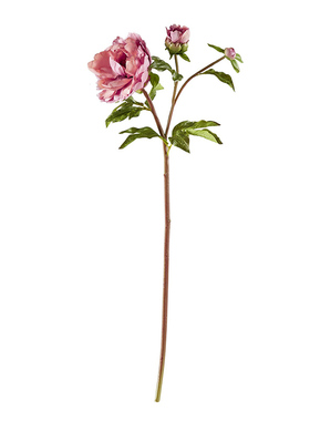 HarborHouse花艺仿真花假花摆件摆设高级手感牡丹新品Peony