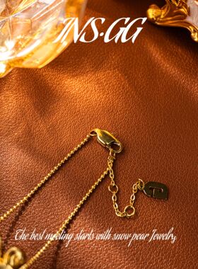 【INS · GG】钢   轻奢设计 LX2851 项链·中长