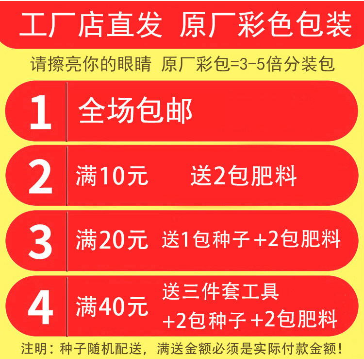 蔬菜种子四季阳台菜种子菠菜芥兰冰菜香菜萝卜芦笋乌塌菜葱籽大全 - 图2