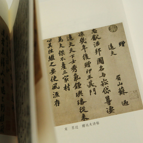 【赠传统文化便签本】后浪正版现货 苏东坡新传上下全套2册 李一冰著作 全新增订版 苏轼国学名人传记 任选传统文化经典历史书籍 - 图2