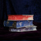 Houlang's official stock, Tombside Memoirs, brushed edges on three sides + full-color lining, full Chinese translation, French Romantic Chateaubriand, long novel, political memoirs, foreign literature collection books