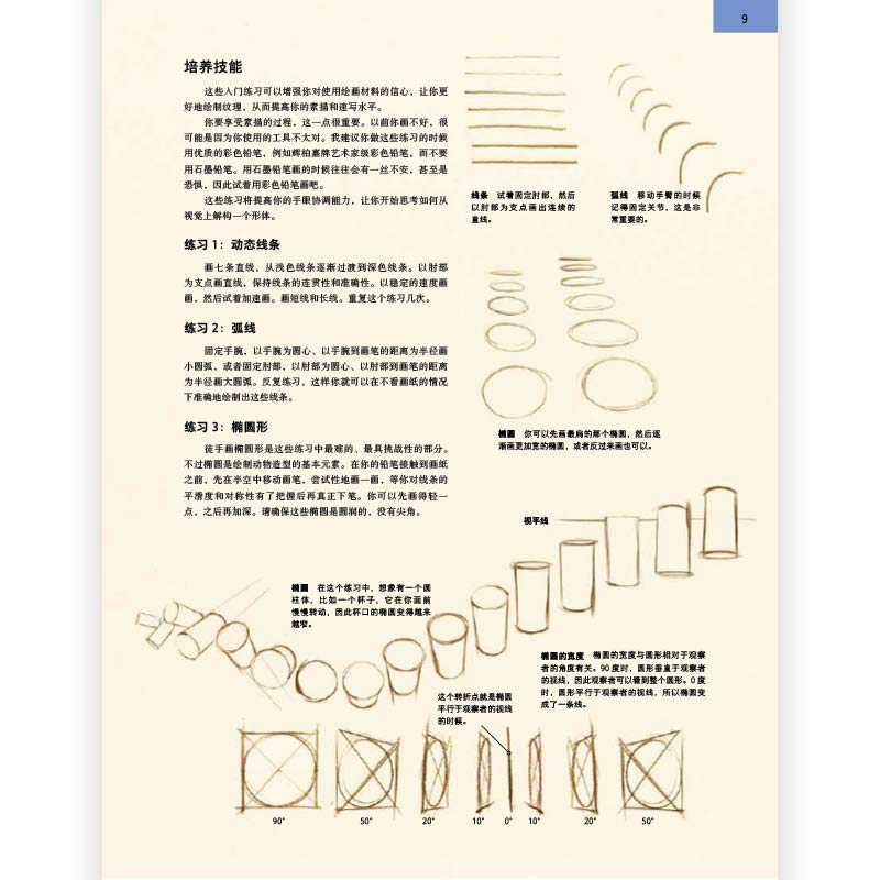 后浪正版现货 理解人体形态+理解动物形态 2册套装 实用素描解剖人体结构书 形态解剖 美术入门自学绘画速写教程 - 图2