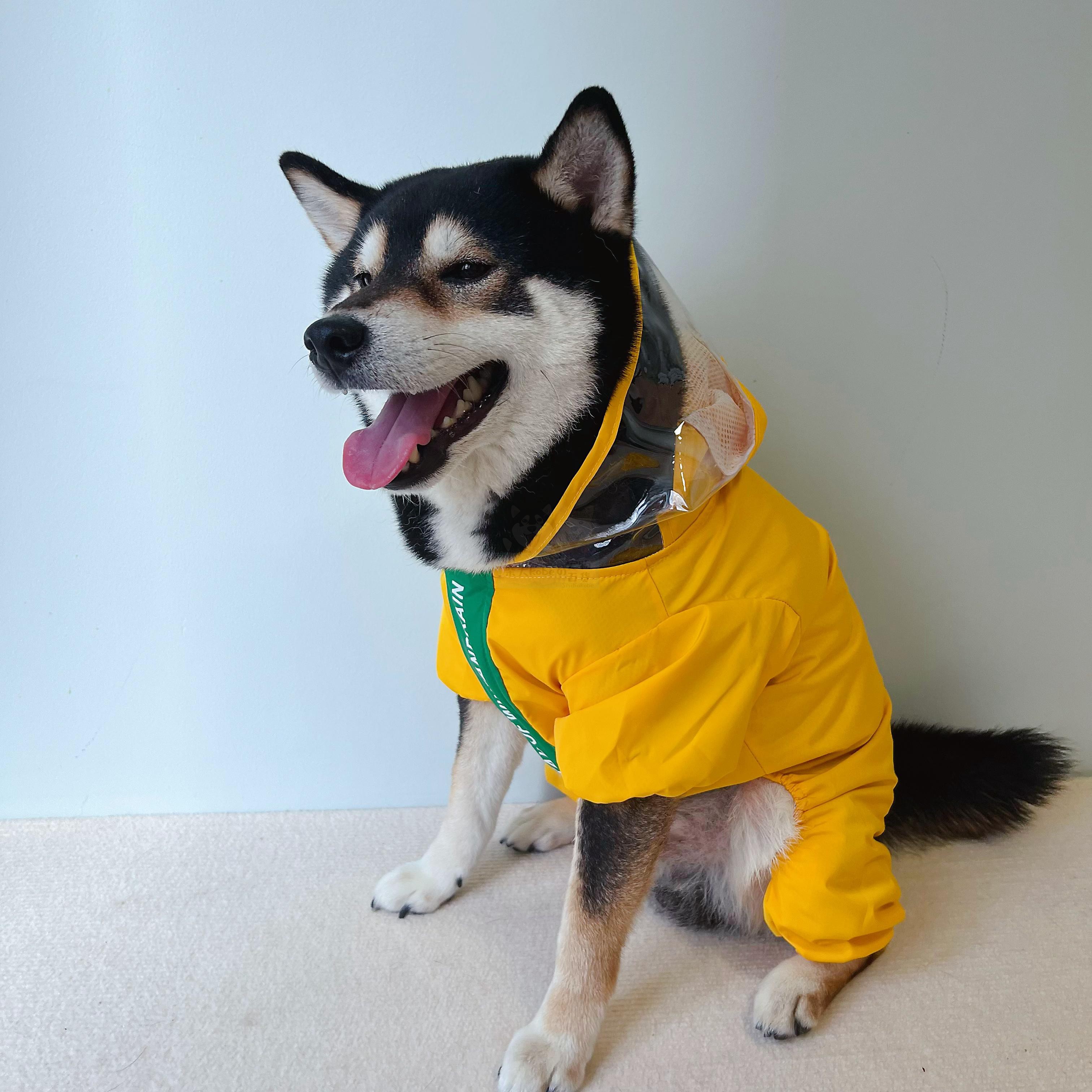 HeyElf法斗巴哥雨衣柯基柴犬雨披宠物狗比熊防雨衣服恐龙四角衣 - 图3