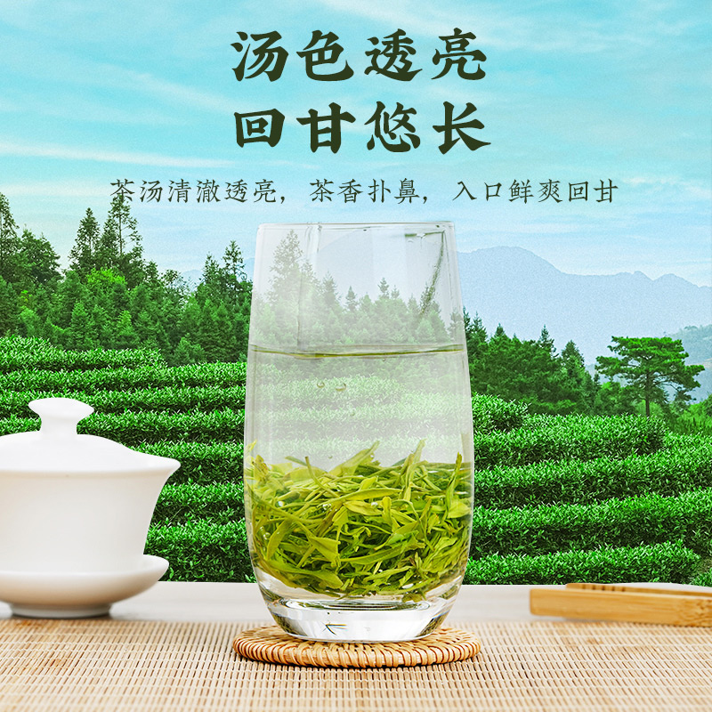 茶马世家恩施硒茶2024新茶玉露明前春茶高山云雾硒富绿茶礼盒500g - 图2