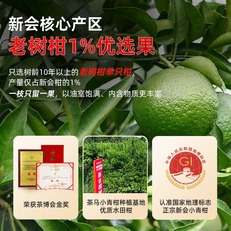 茶马世家小青柑正宗新会陈皮宫廷普洱茶熟茶生晒金奖柑普茶11年陈 - 图0
