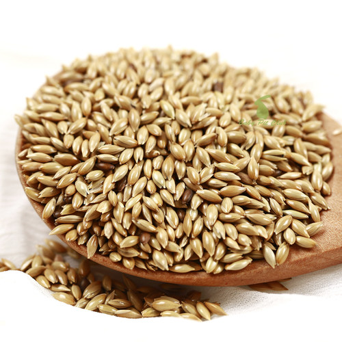 包邮进口加纳利子鹦鹉鸟食油尖粟白尖粟草庐籽金丝雀芙蓉鸟粮饲料 - 图2