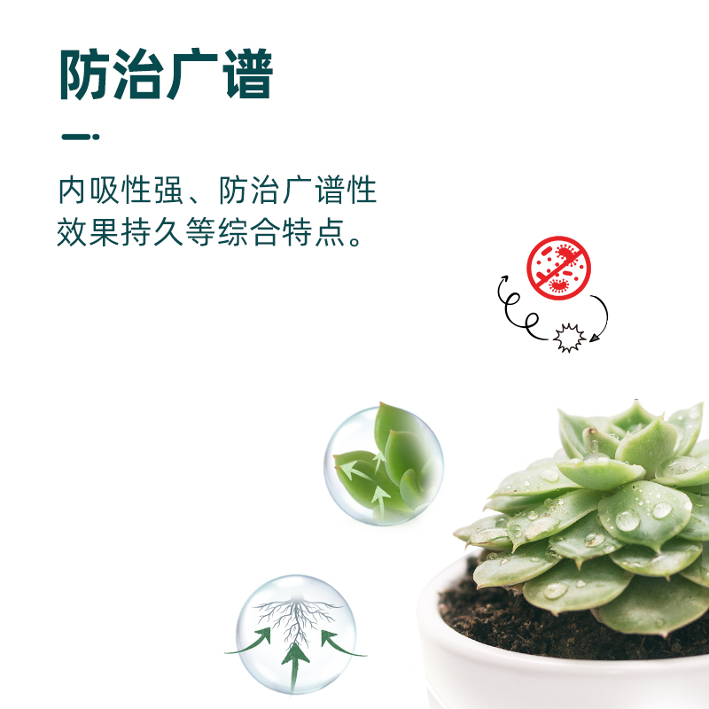 千百季小黑家庭花卉多肉绿植通用茎基腐家用持久养花颗粒 - 图1