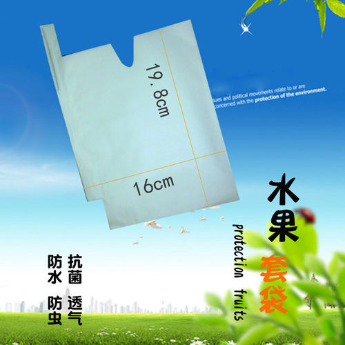 番石榴红美人柑橘杨桃莲雾水蜜桃葡萄柚梨子春见耙耙柑芭乐套袋 - 图1