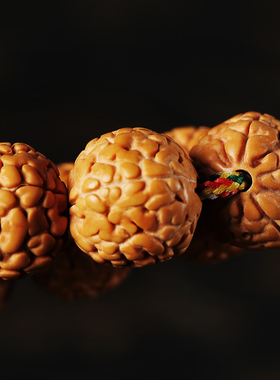 原籽正宗一代龙鳞纹男麒麟纹菩提