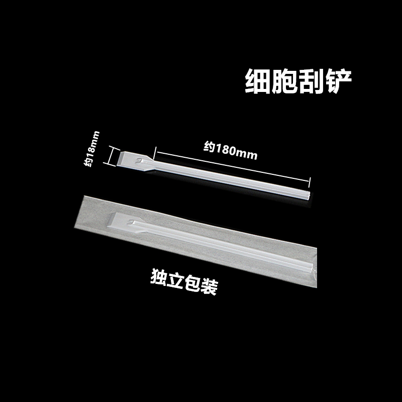 CKSLAB希开 510001 细胞刮铲单头白色独立包装长度180MM 宽18MM - 图3