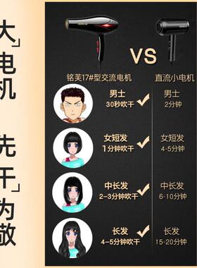 电吹风机家用发廊用大风力大功率