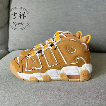 Nike Air More Uptempo GS Women's Pippen Large Cushion Retro Sneakers Classic 415082