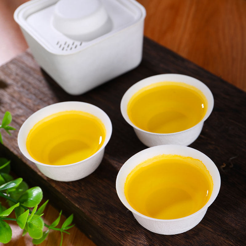 一次性茶具功夫茶套装户外盖碗茶壶茶杯便携式旅行茶具快客杯泡茶,淘宝优惠券,粉丝福利购,淘宝优惠卷