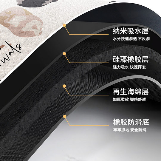 Bathroom soft diatom mud absorbent mat floor mat